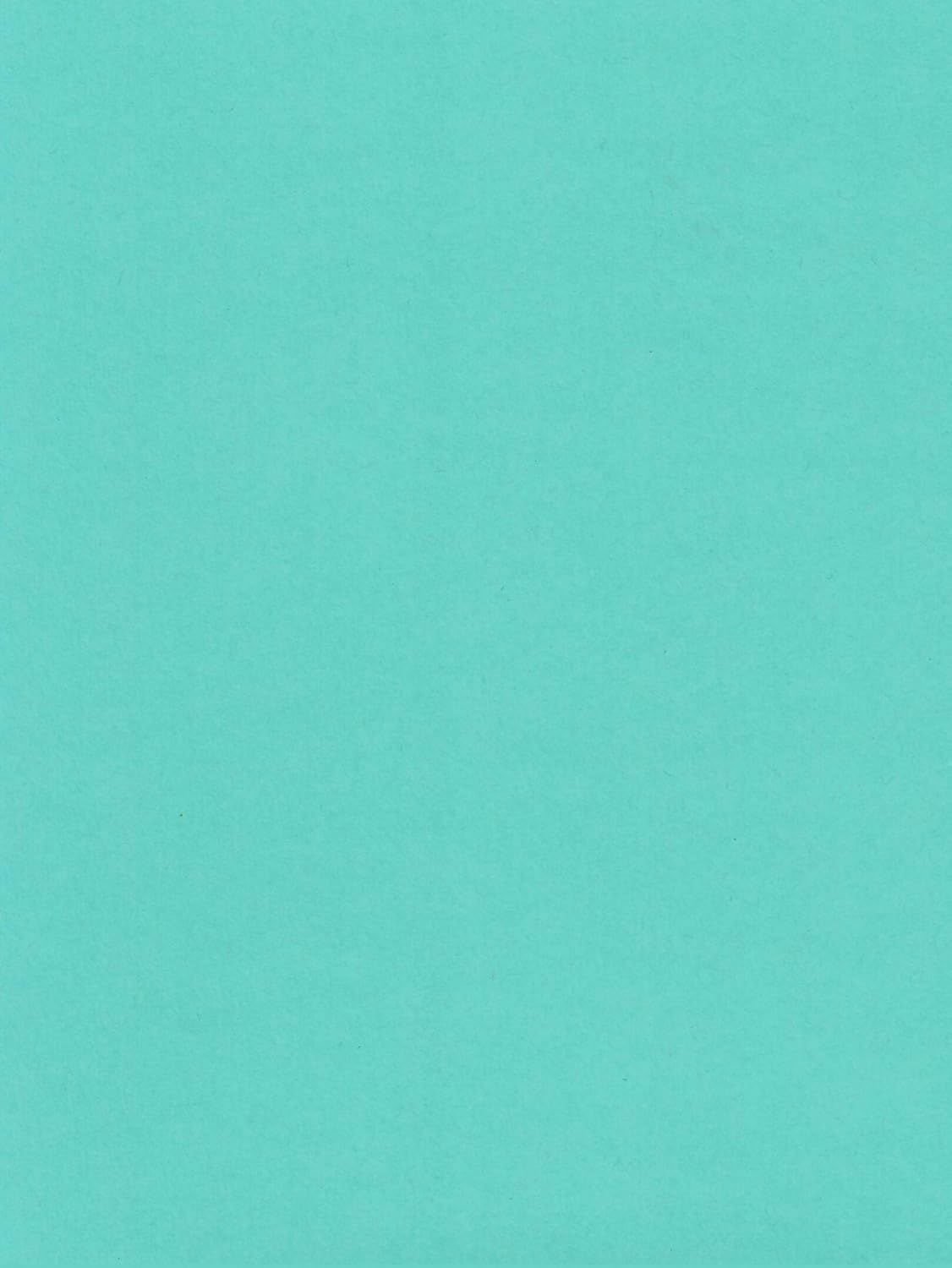 Poptone papel cartulina – 8.5 X 11 Pulgadas 65 libras Cubierta – 50 hojas de Cardstock Warehouse