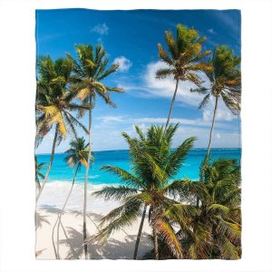 Moslion Manta suave y acogedora con palmera azul y mar cálido para sofácama para adultosjóvenes, poliéster 40 x 50 pulgadas (casaviajecamping Moslion Manta suave y acogedora con palmera azul y mar cálido para sofácama para adultosjóvenes, poliéster 40 x 50 pulgadas (casaviajecamping