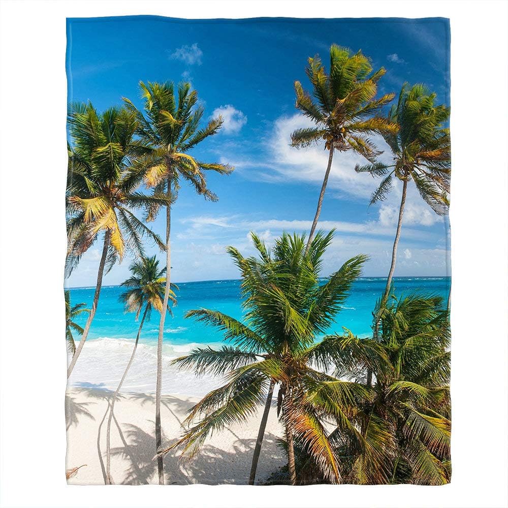 Moslion Manta suave y acogedora con palmera azul y mar cálido para sofácama para adultosjóvenes, poliéster 40 x 50 pulgadas (casaviajecamping