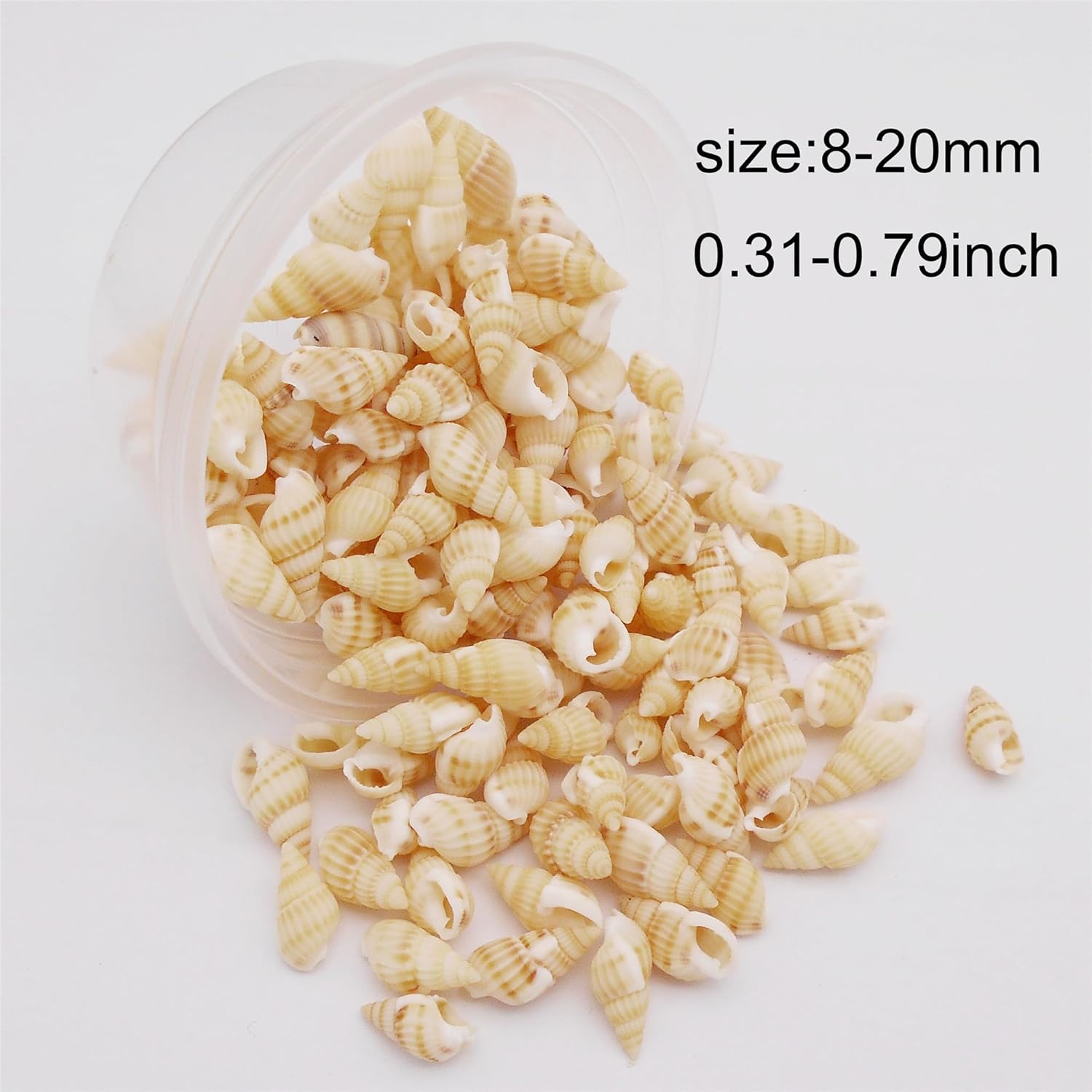 Cerca de 250 piezas de conchas en espiral de playa de concha de mar de color amarillo natural para manualidades, mini caracola, concha de mar para
