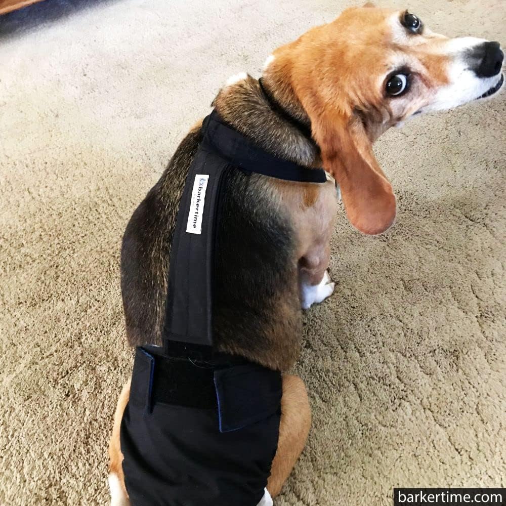 Pañal negro para perro, XXL, con orificio para la cola, fabricado en Estados Unidos