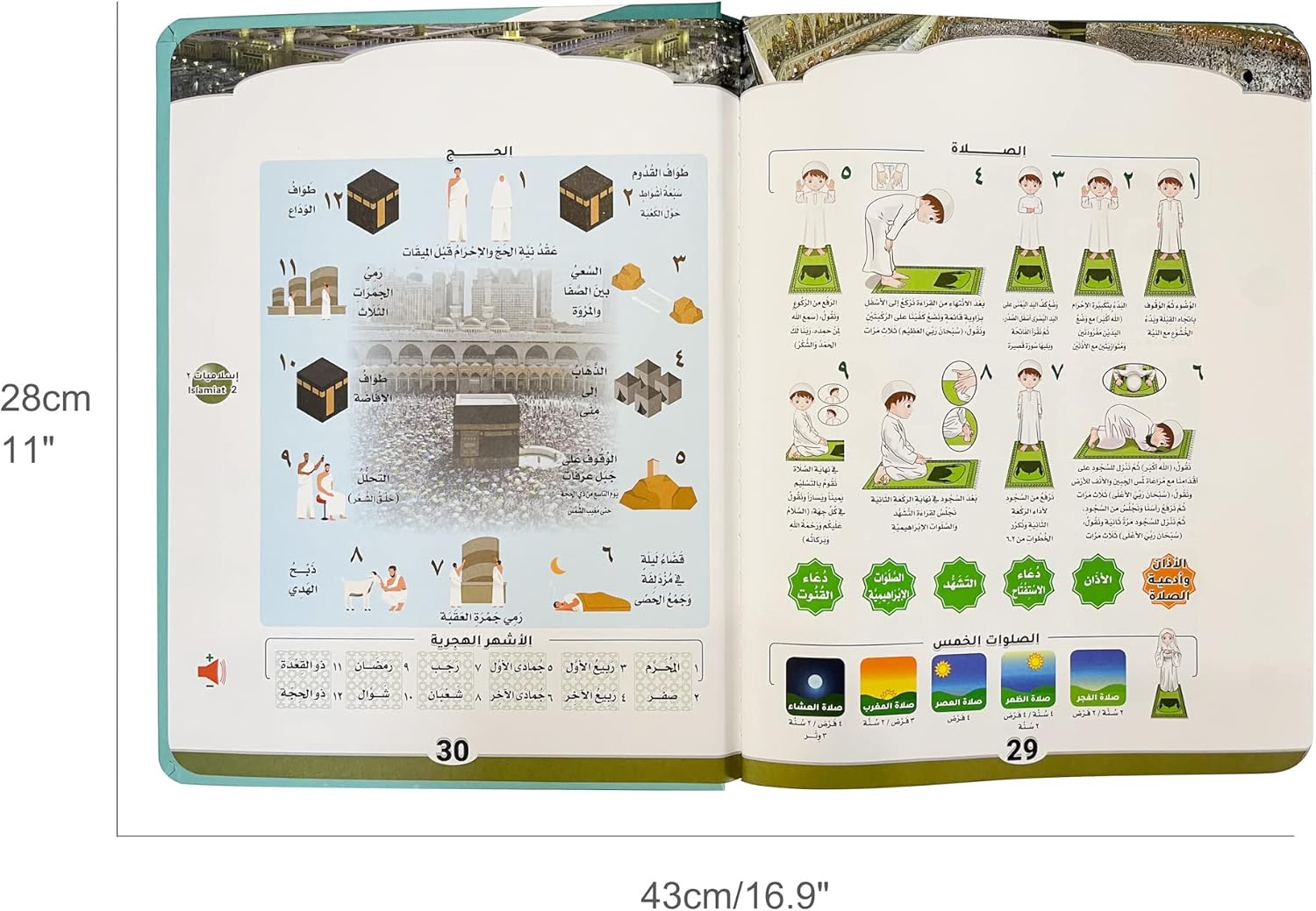 Libro de alfabeto árabe para niños con traducciones al inglés, aprender el número del alfabeto árabe Corán, libro de aprendizaje en árabe para