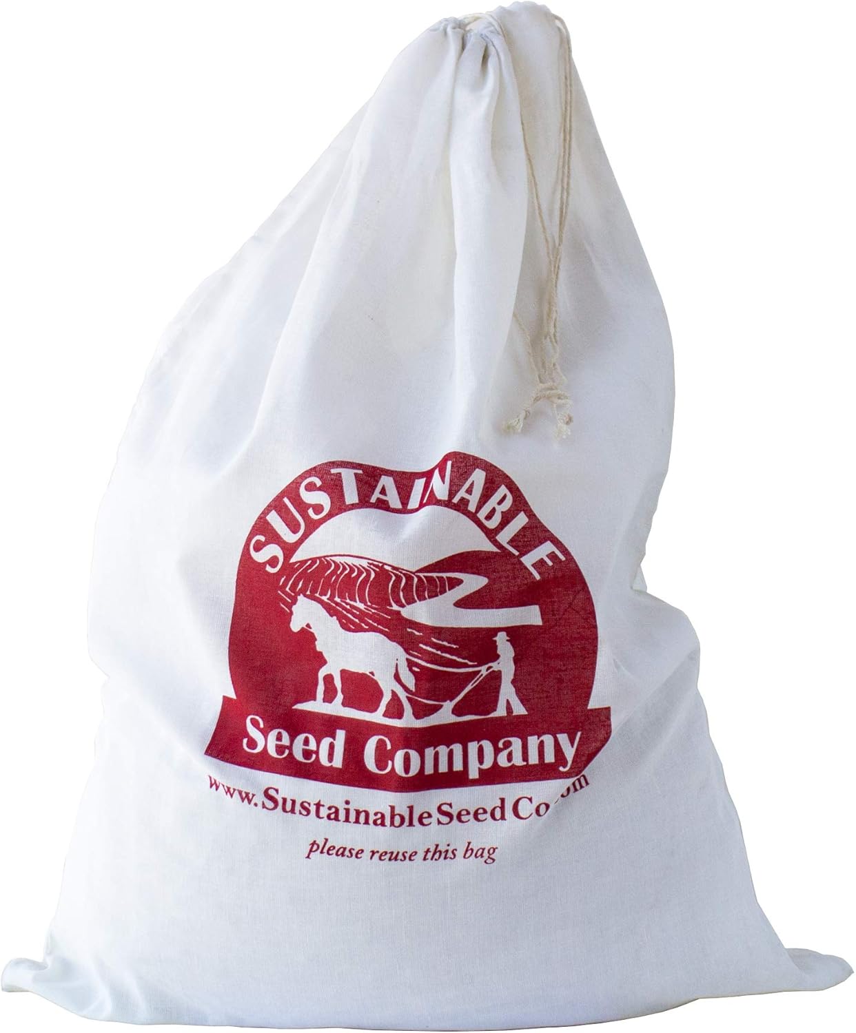 White Proso Millet  25 LB Bulk  2,000,000 Semillas  Sin OMG, polinizado abierto  Semillas de grano de mijo  Semillas de pájaro  Alimento