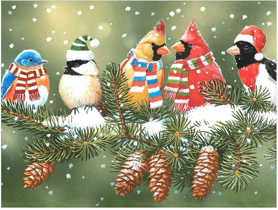 Stalente Kits de pintura de diamantes para adultos, pintura de diamantes de Navidad, pájaros de arte de diamantes, bricolaje 5D redondo, kit de arte