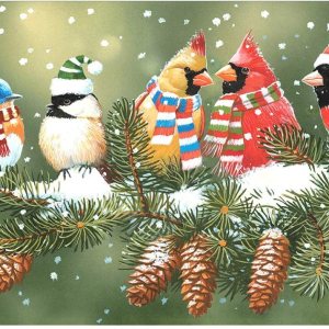 Stalente Kits de pintura de diamantes para adultos, pintura de diamantes de Navidad, pájaros de arte de diamantes, bricolaje 5D redondo, kit de arte Stalente Kits de pintura de diamantes para adultos, pintura de diamantes de Navidad, pájaros de arte de diamantes, bricolaje 5D redondo, kit de arte