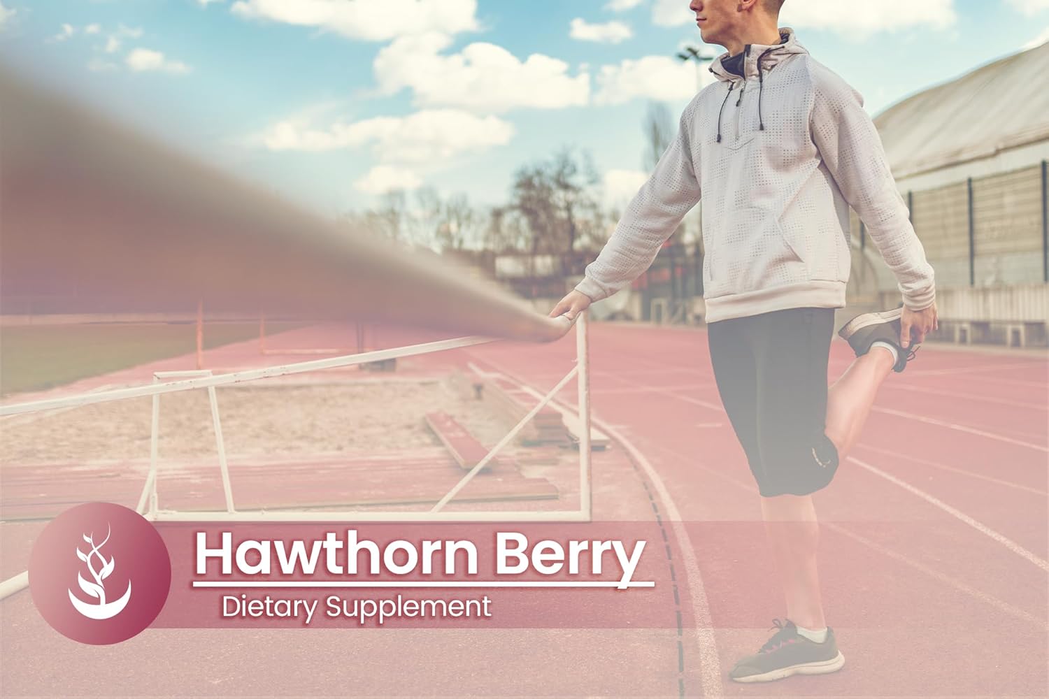 PURE ORIGINAL INGREDIENTS Hawthorn Berry, (100 cápsulas) siempre puro, sin aditivos ni rellenos, verificado por laboratorio
