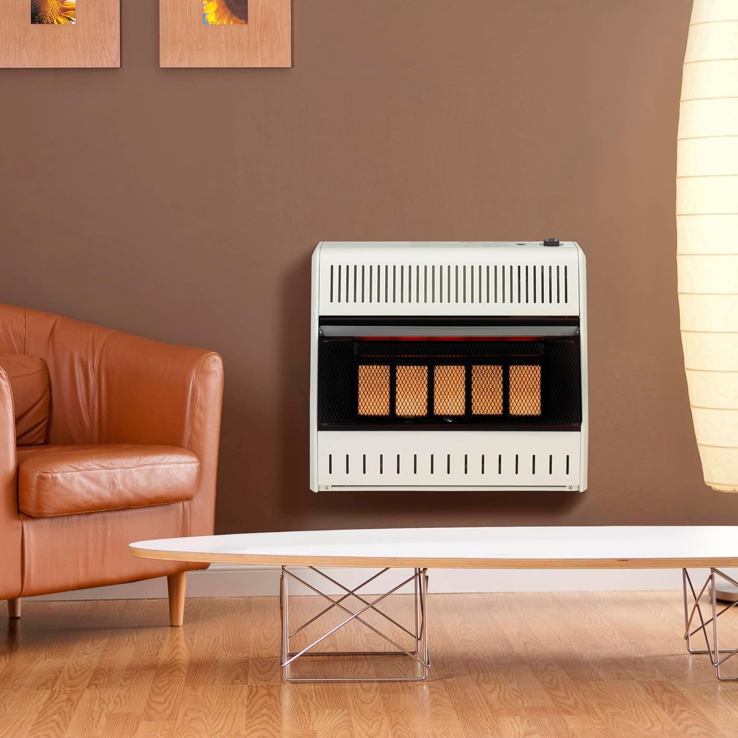 ProCom MN300TPA-B Calentador infrarrojo de gas natural sin ventilación con control de termostato para uso doméstico y oficina, 30000 BTU, calienta