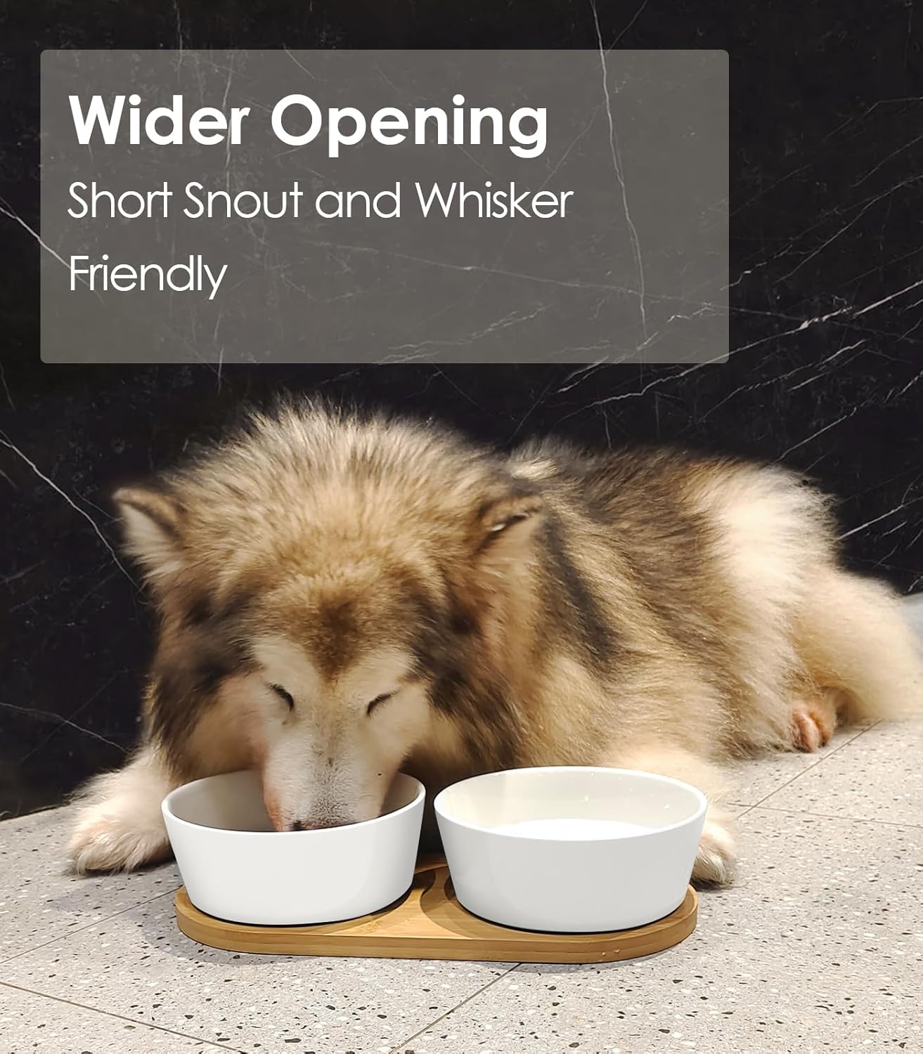 LIHONG Juego de cuencos de cerámica para perros, comida y agua con bandeja de madera antideslizante, tazón doble de comida para mascotas para perros