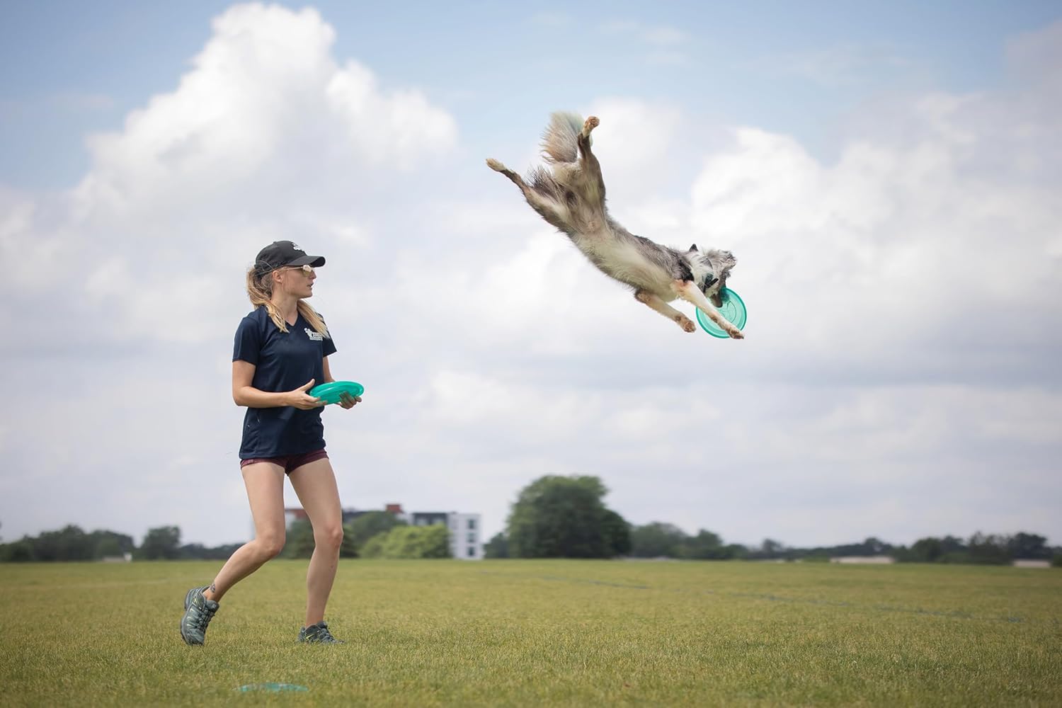 Hero Disc USA Xtra 235 Freestyle – Frisbee para perro, juguete para perros al aire libre y frisbee para mascotas, disco volador para perros de