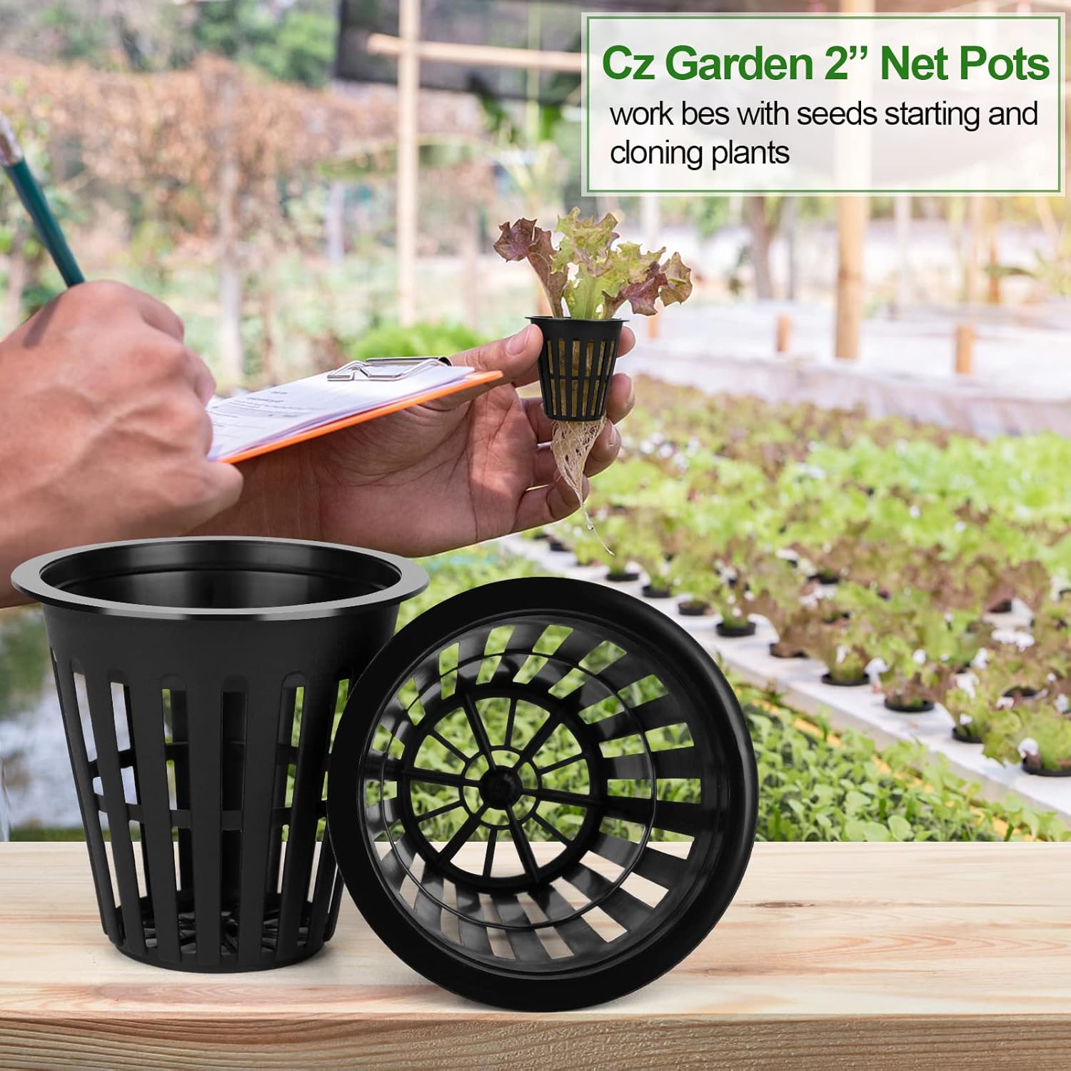 HXSEMAYIG 50 macetas de red de 2 pulgadas, taza hidropónica, tazas de red para cultivo en interiores o exteriores