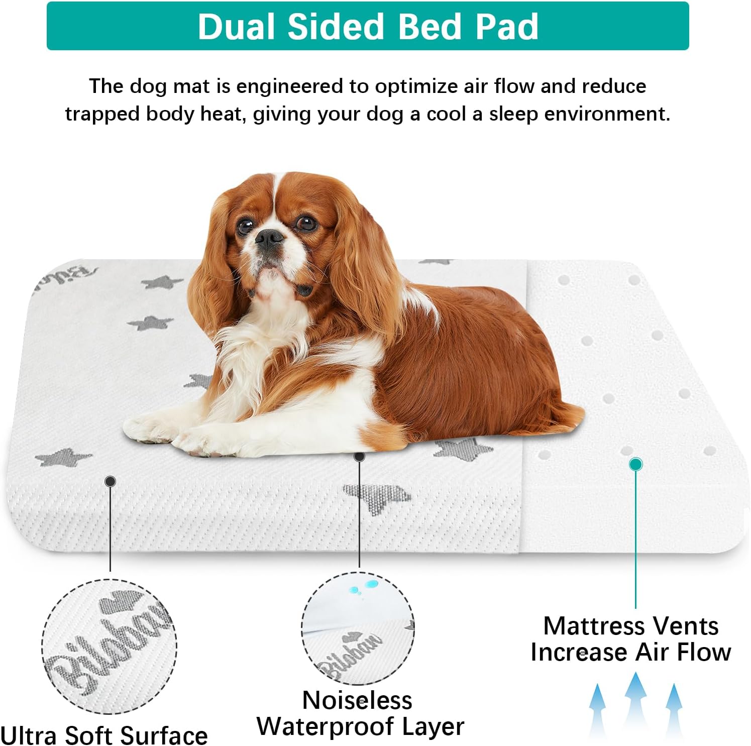 Biloban Camas para perros pequeños, cama impermeable para perros pequeños con funda extraíble lavable, almohadilla de cama de espuma para perros