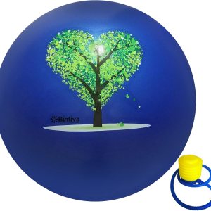 bintiva Pelota de ejercicio con arena en el interior, no se enrolla, pelota de equilibrio de yoga, pelota suiza pesada bintiva Pelota de ejercicio con arena en el interior, no se enrolla, pelota de equilibrio de yoga, pelota suiza pesada