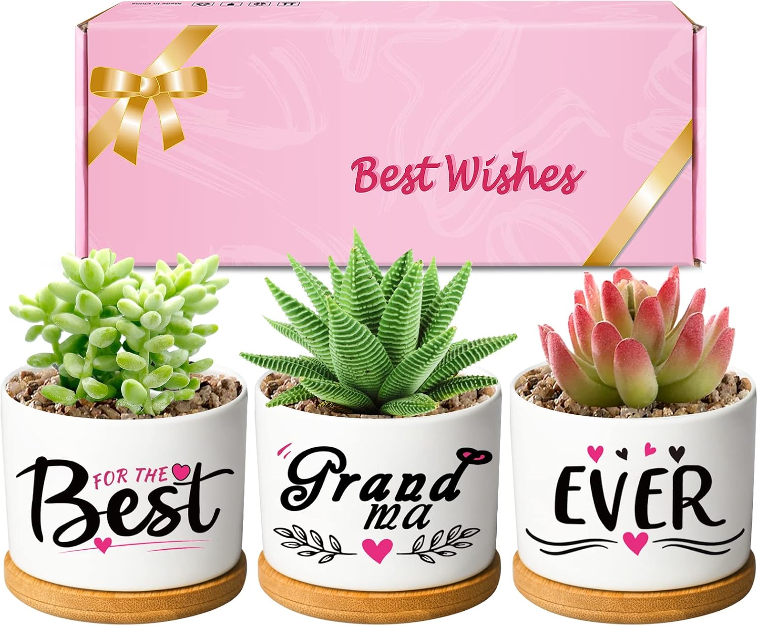 DEMACIYA Regalos de cumpleaños para abuela, macetas para suculentas y creativas para Navidad, regalo creativo para Gigi, el juego de macetas llega