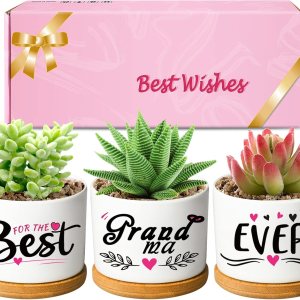 DEMACIYA Regalos de cumpleaños para abuela, macetas para suculentas y creativas para Navidad, regalo creativo para Gigi, el juego de macetas llega DEMACIYA Regalos de cumpleaños para abuela, macetas para suculentas y creativas para Navidad, regalo creativo para Gigi, el juego de macetas llega