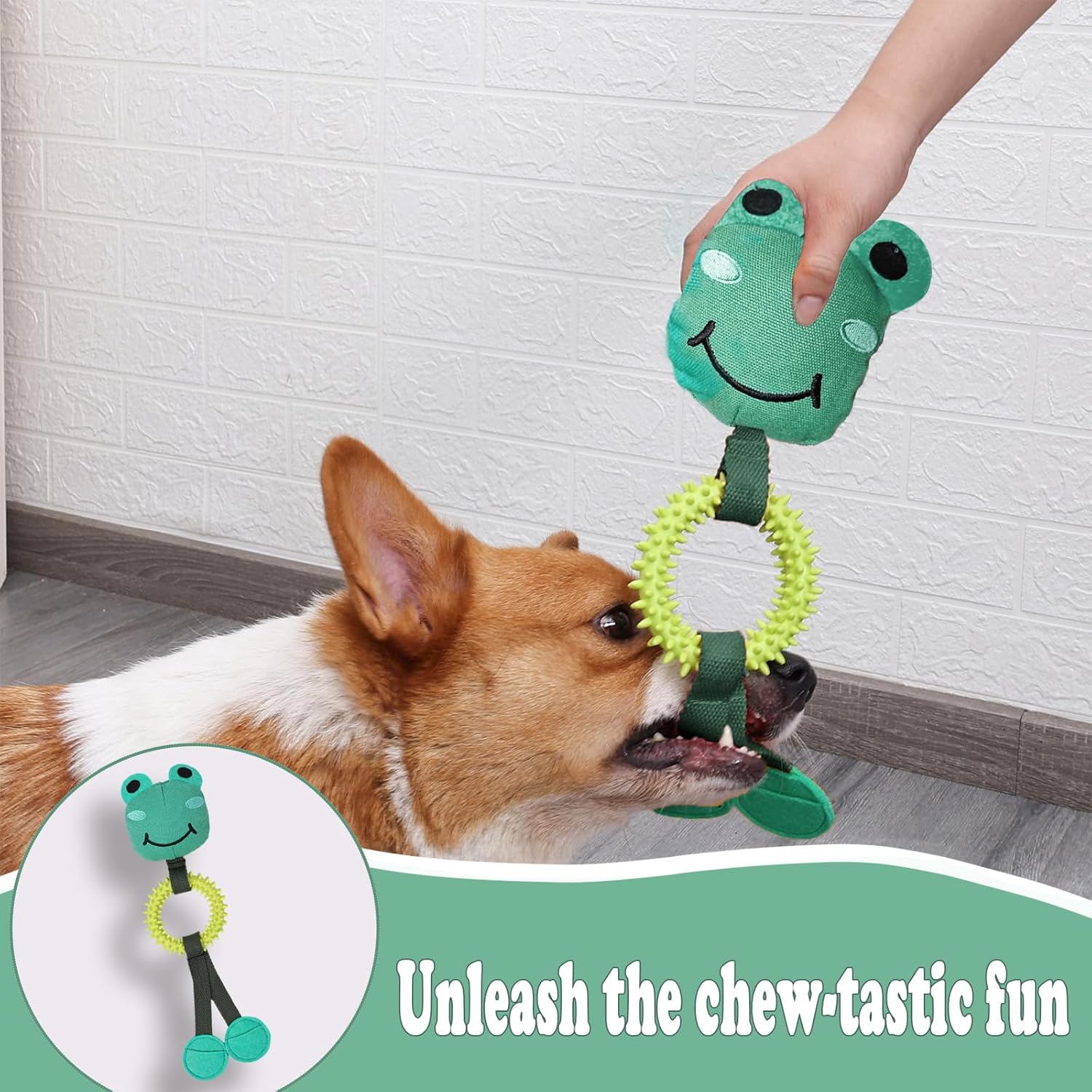 Duuclume Juguete para olfatear rana para perros, juguete chirriante duradero, juguete interactivo de tira y afloja, juguete interactivo para revivir
