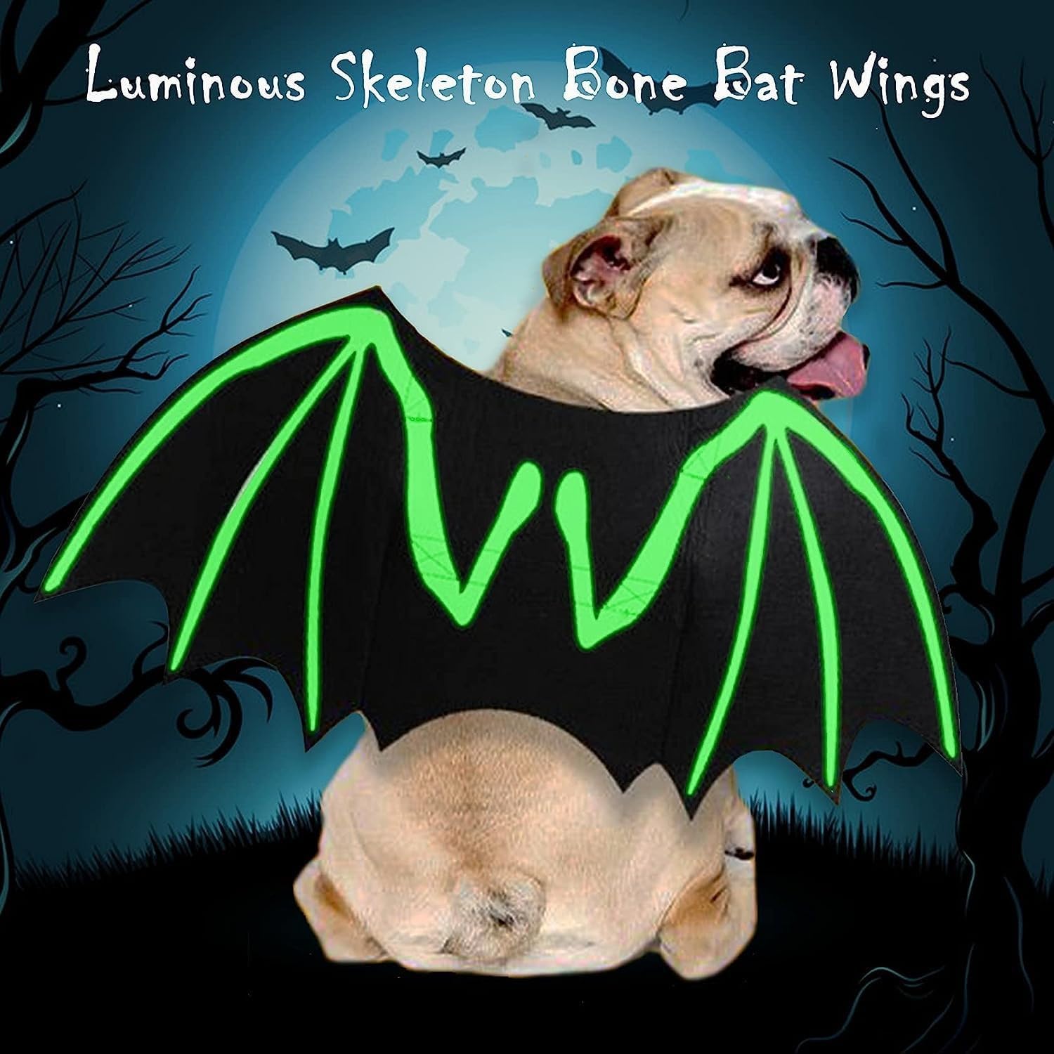 ZIRURUTON Disfraz de Halloween para perro, disfraz genial para mascota, alas de murciélago luminosas, disfraz de cosplay para fiesta temática de