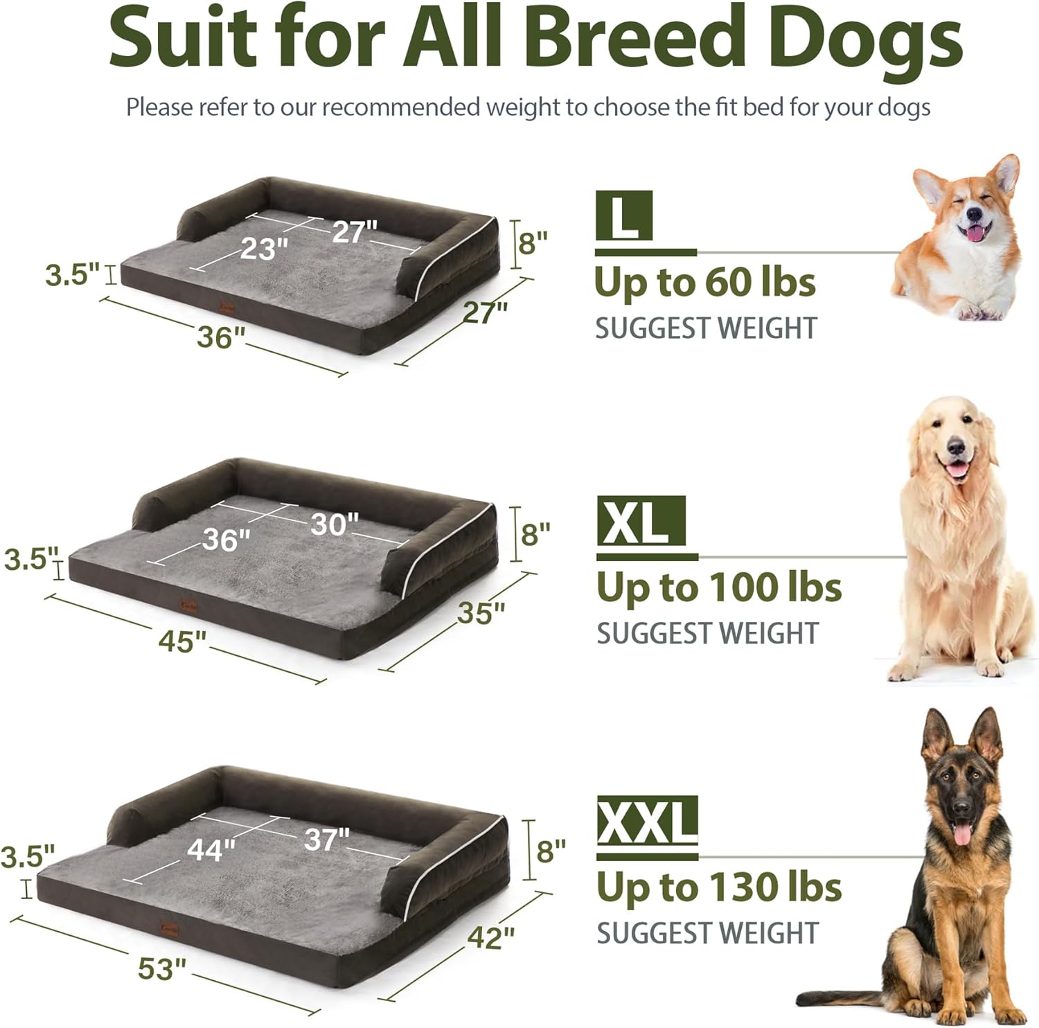 Casa Paw Cama para perros XXL con refuerzos, camas impermeables para perros extragrandes, cama ortopédica de espuma viscoelástica con funda