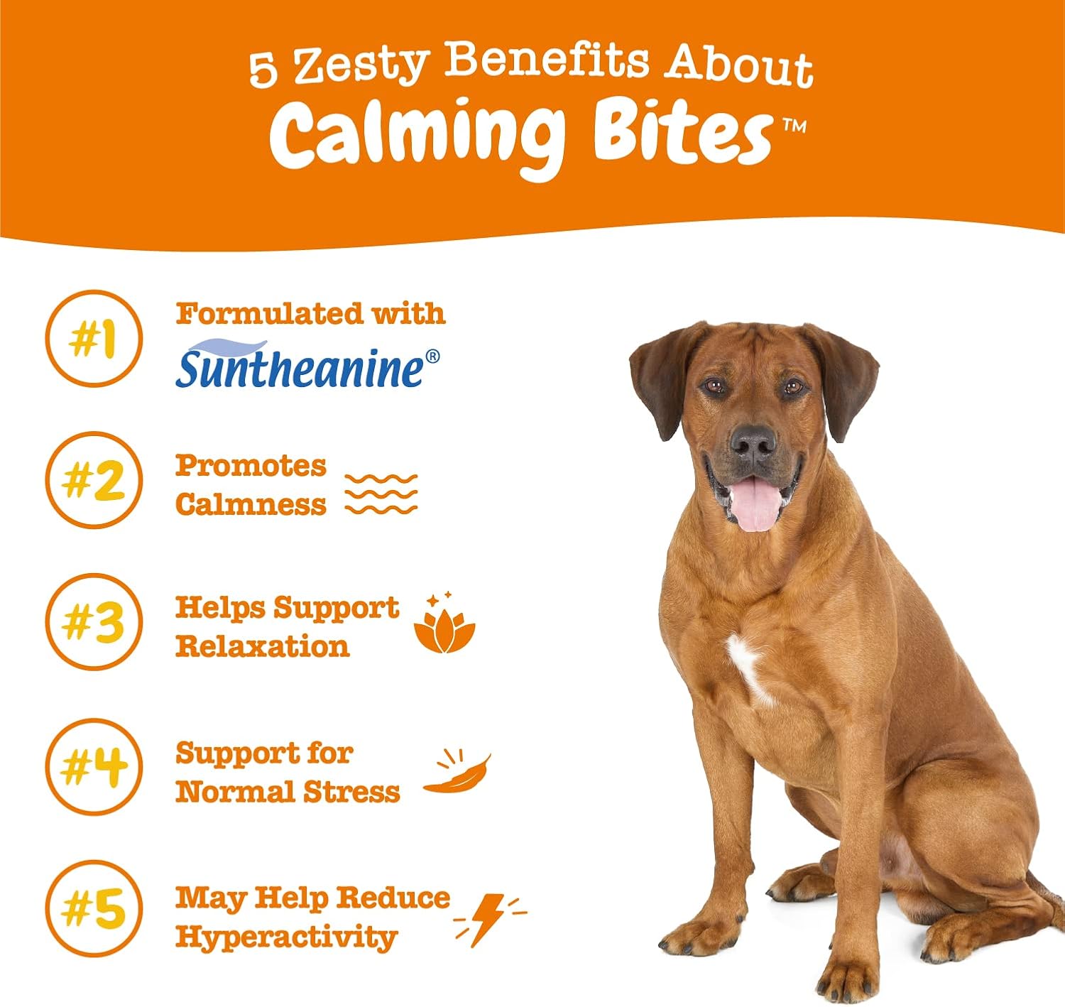 Zesty Paws Masticables calmantes para perros Compostura y relajación para el estrés diario y la separación Mantequilla de maní 50 unidades