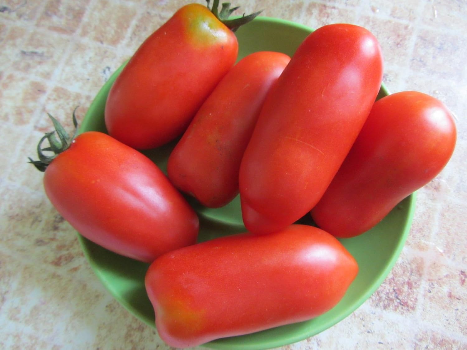 RAISE ME UP Semillas Tomate Pepper-Shaped Red Scarlet Mustang (Tiene Forma Como Pimienta) Heirloom Indeterminado No GMO