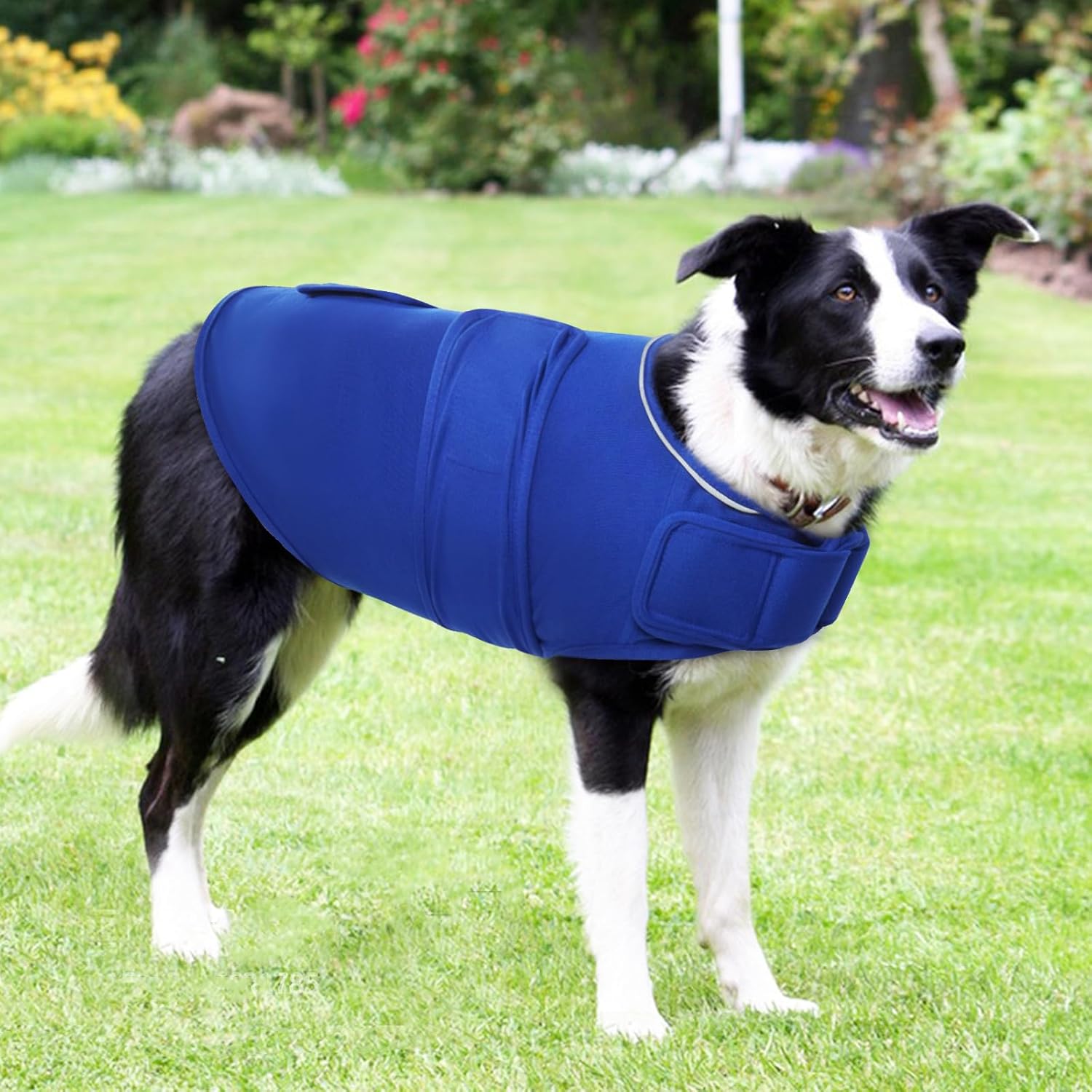 ROZKITCH Chaleco de ansiedad para perro, chaqueta cómoda para ansiedad para perros con fuegos artificiales, viajes, visitas al veterinario, camisa