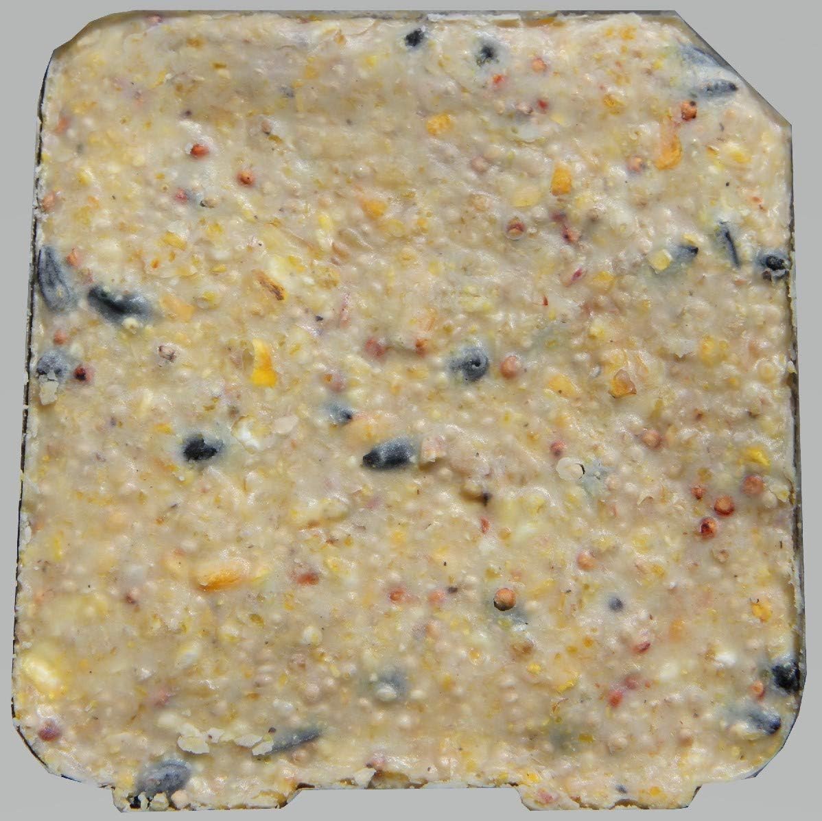 Heath Outdoor Products Birds DD4-10 – Pastel de sebo de alta energía para todas las estaciones, 11 onzas (paquete de 10)