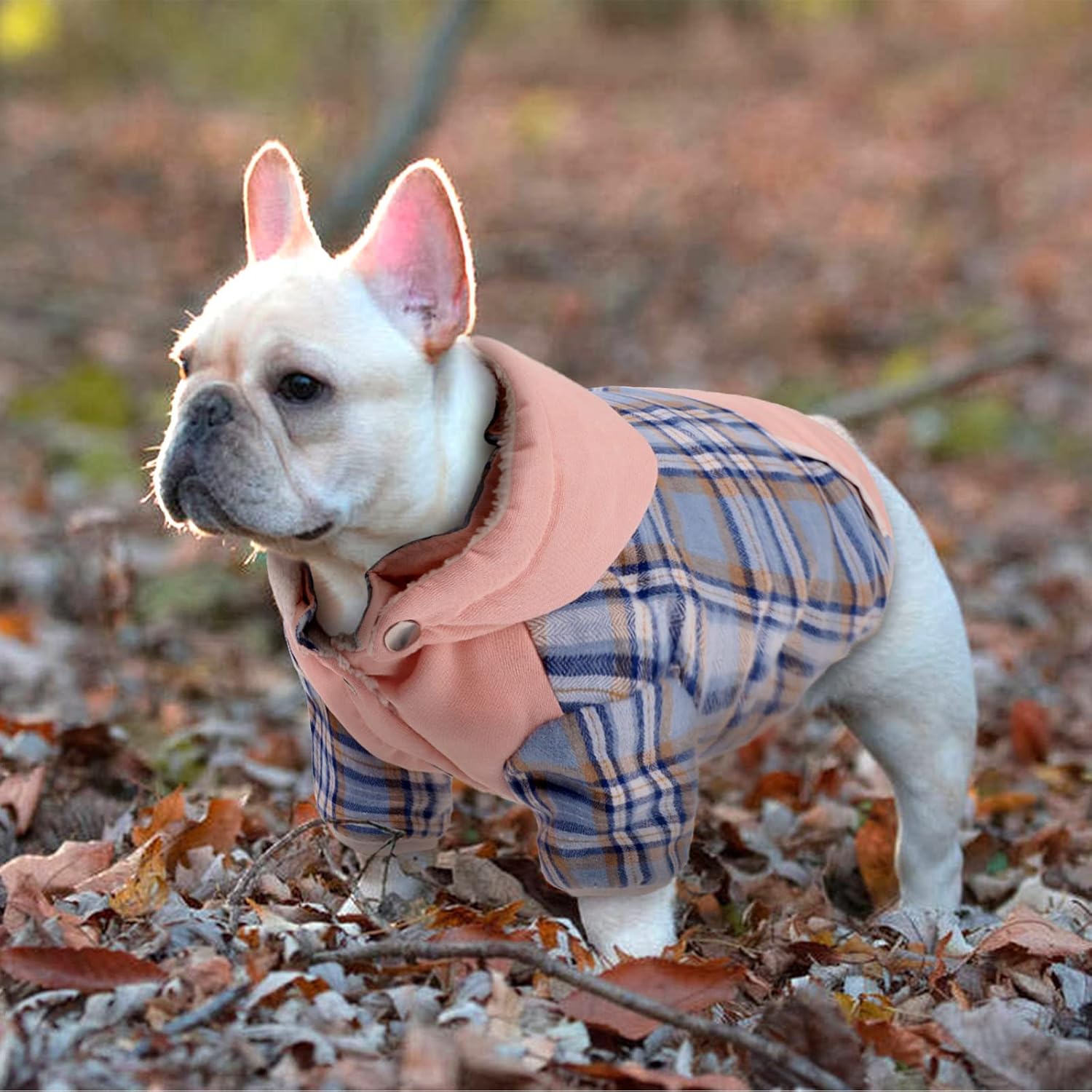 Abrigo de invierno para perro, chaqueta de forro polar para perro con agujero para arnés con capucha para perro con sombrero, abrigo cálido para