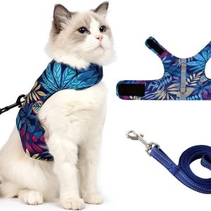 Arnés y correa para caminar, a prueba de escapes, tela de malla de aire, chaleco para caminar al aire libre con tiras reflectantes para gatos lindos Arnés y correa para caminar, a prueba de escapes, tela de malla de aire, chaleco para caminar al aire libre con tiras reflectantes para gatos lindos