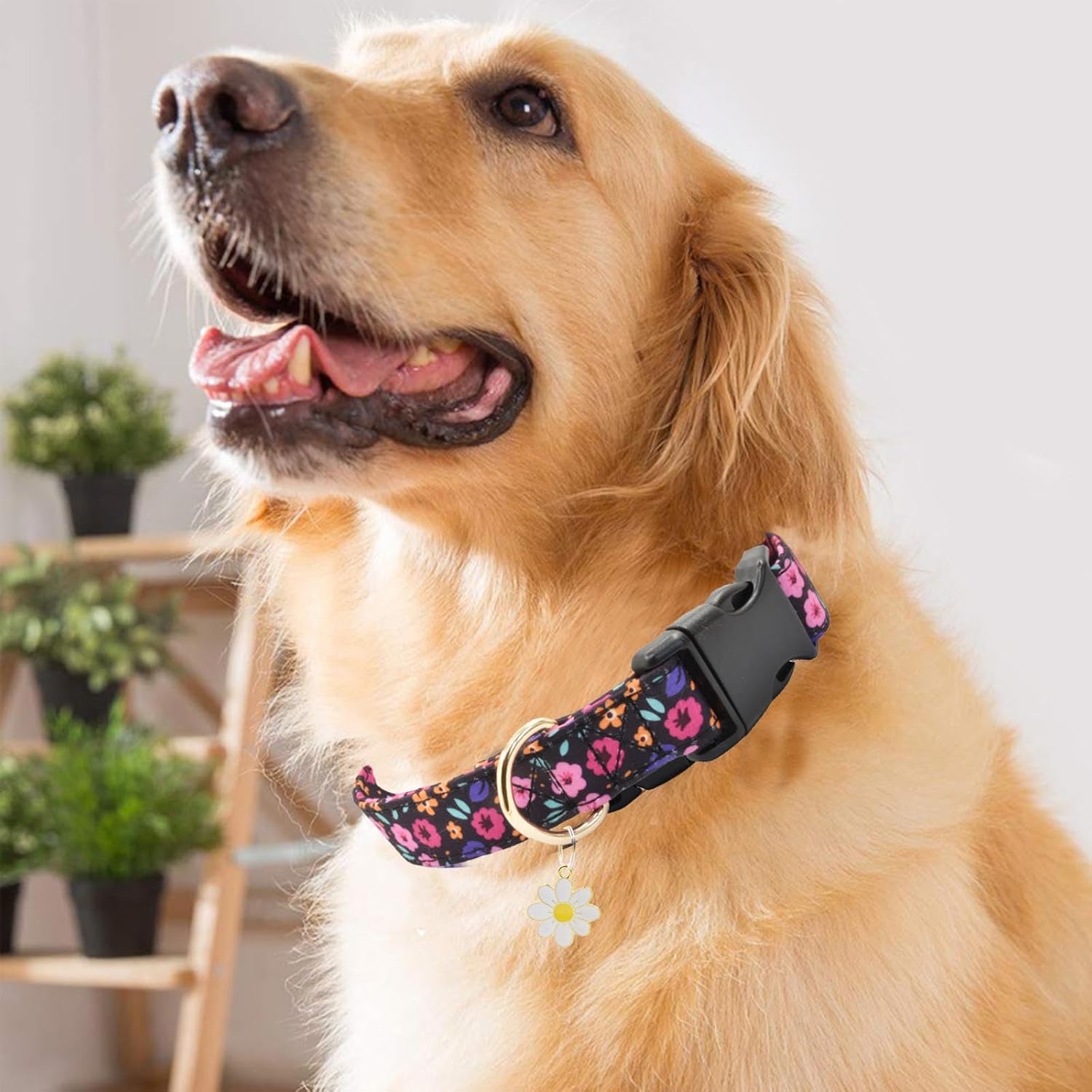 Lindo collar de algodón para perro, patrones de flores, collares suaves y ajustables para cachorros, para hembras pequeñas, medianas y grandes, con