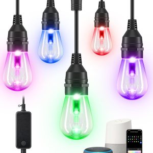 EDISHINE Guirnalda de luces inteligentes para exteriores, luces de patio que cambian de color de 48 pies con 18 bombillas LED RGBW, aplicación y EDISHINE Guirnalda de luces inteligentes para exteriores, luces de patio que cambian de color de 48 pies con 18 bombillas LED RGBW, aplicación y