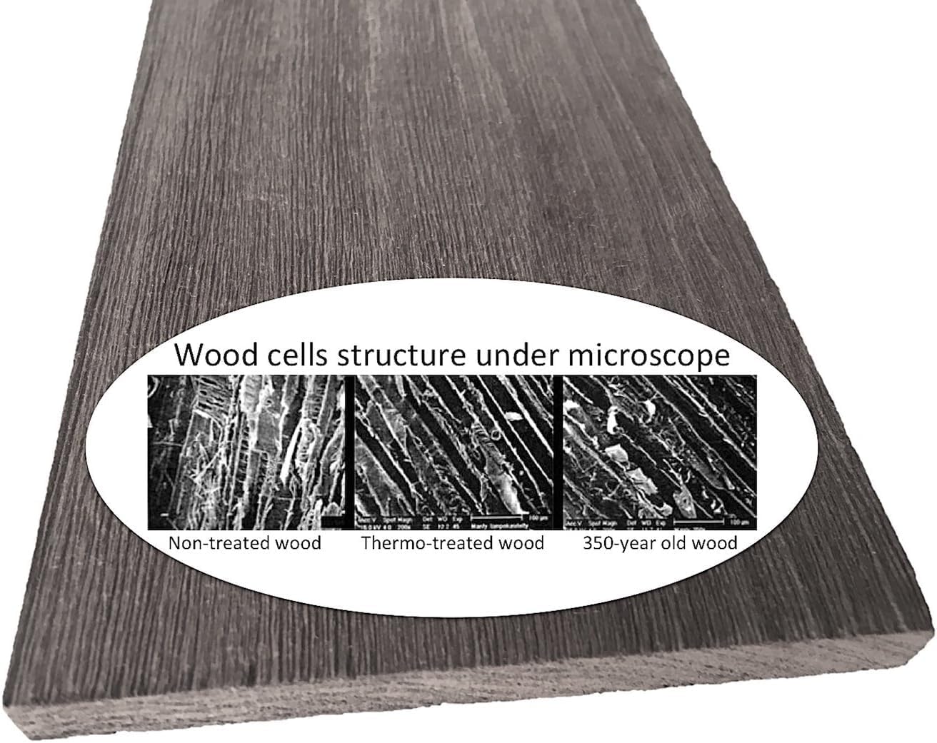 Village Accent – Tablones de madera para pared, 12 piezas, blanqueado (modelo #11338)