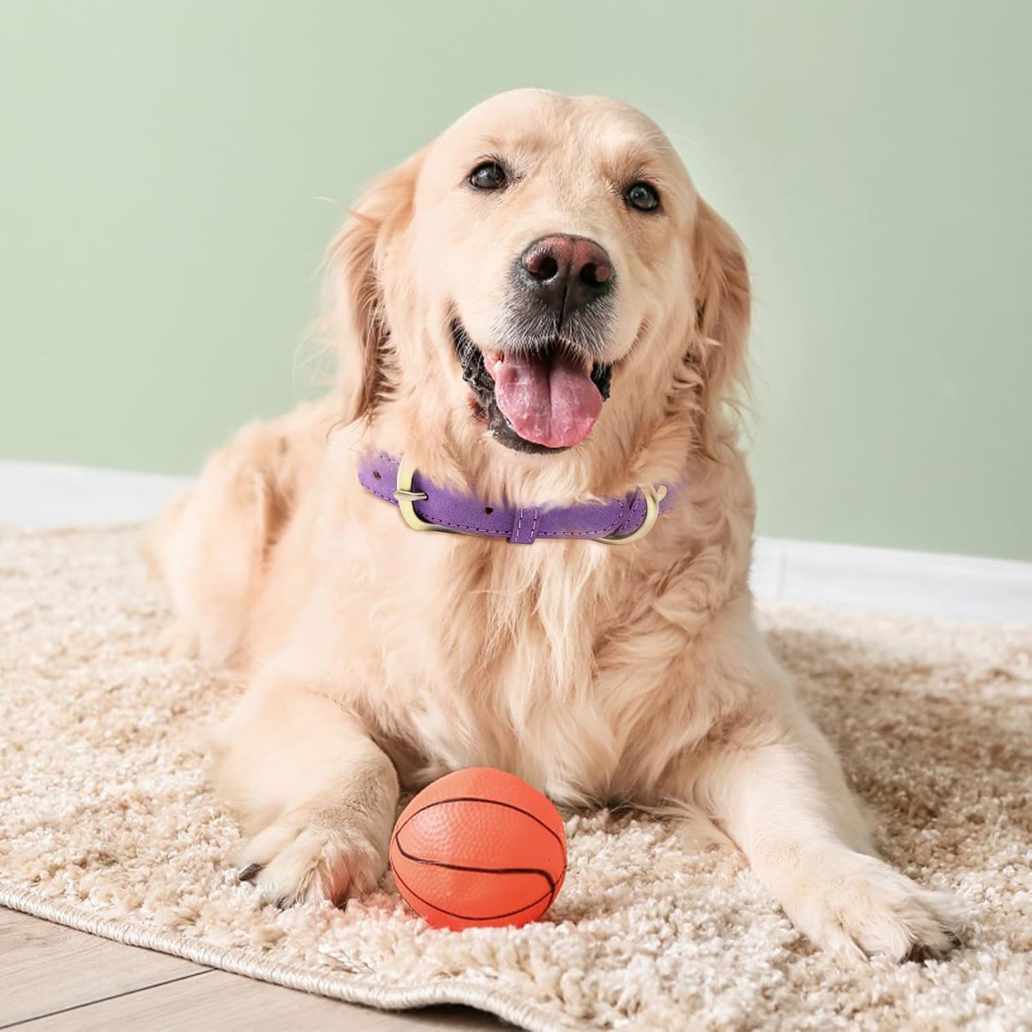 SUFEI Collar de cuero suave acolchado para perro, transpirable, ajustable, impermeable, collar táctico para mascotas con hebilla de metal duradera