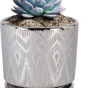 Ton Sin Macetas plateadas, macetas para suculentas de 5.5 pulgadas con drenaje, macetas redondas de cerámica para interiores con platillo, macetas Ton Sin Macetas plateadas, macetas para suculentas de 5.5 pulgadas con drenaje, macetas redondas de cerámica para interiores con platillo, macetas