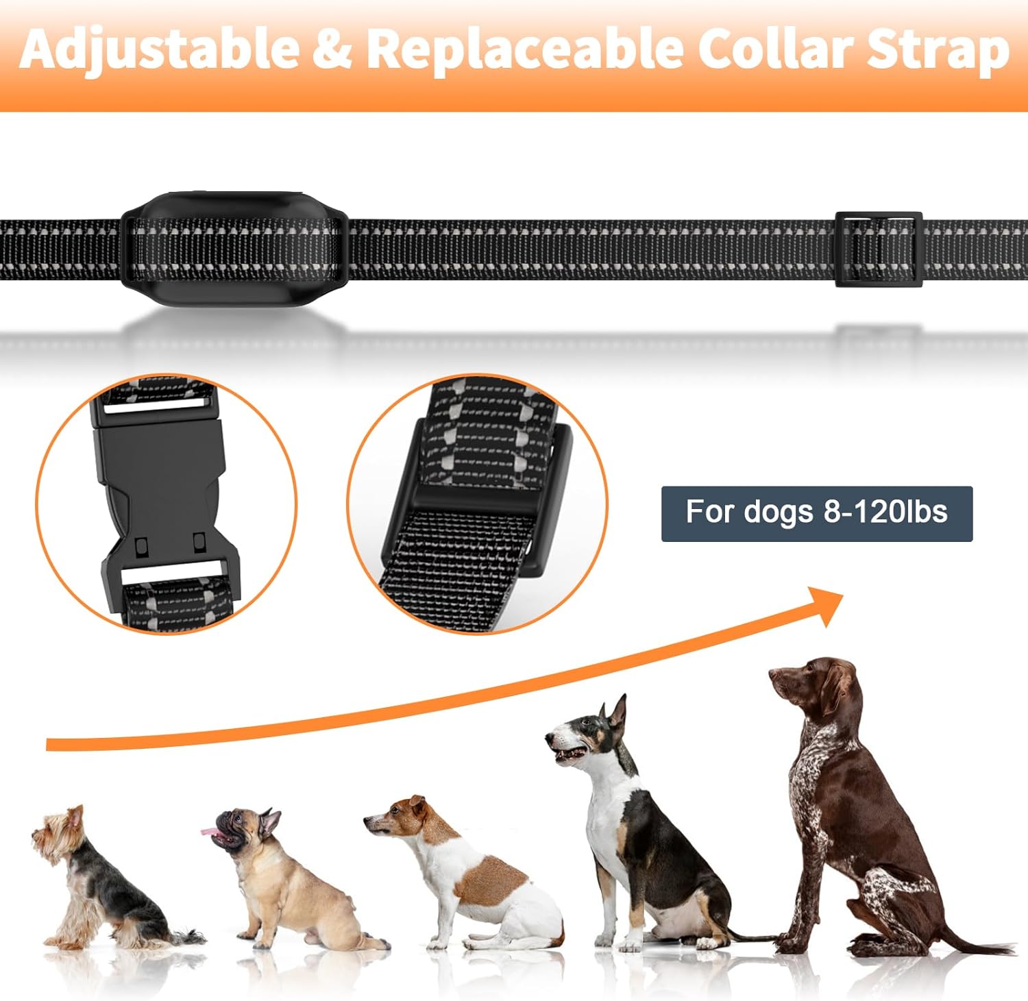 Collar de choque para perros para 2 perros collar de entrenamiento de perros de 3300 pies con control remoto actualizado IPX7 impermeable collar
