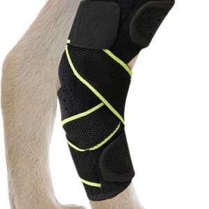 Soporte de articulación para perros medianos y grandes, envoltura de compresión con correas y tiras de resorte de metal que protege heridas, cura, Soporte de articulación para perros medianos y grandes, envoltura de compresión con correas y tiras de resorte de metal que protege heridas, cura,