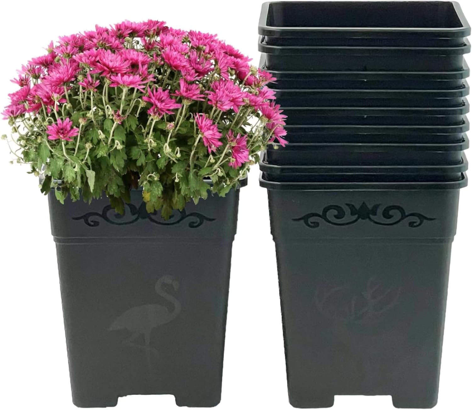 Macetas cuadradas de plástico de 2 galones para plantas de interior y exterior, paquete de 10 con agujeros de drenaje, color negro