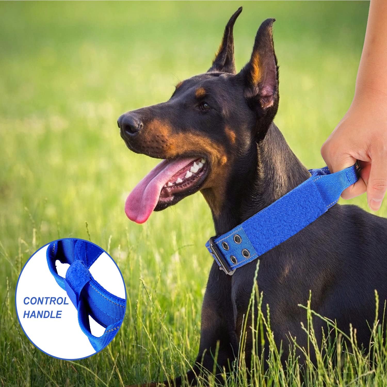 Collar reflectante para perro, collar táctico para perro, resistente con asa de control y hebilla de metal para entrenamiento de perros (M, azul)