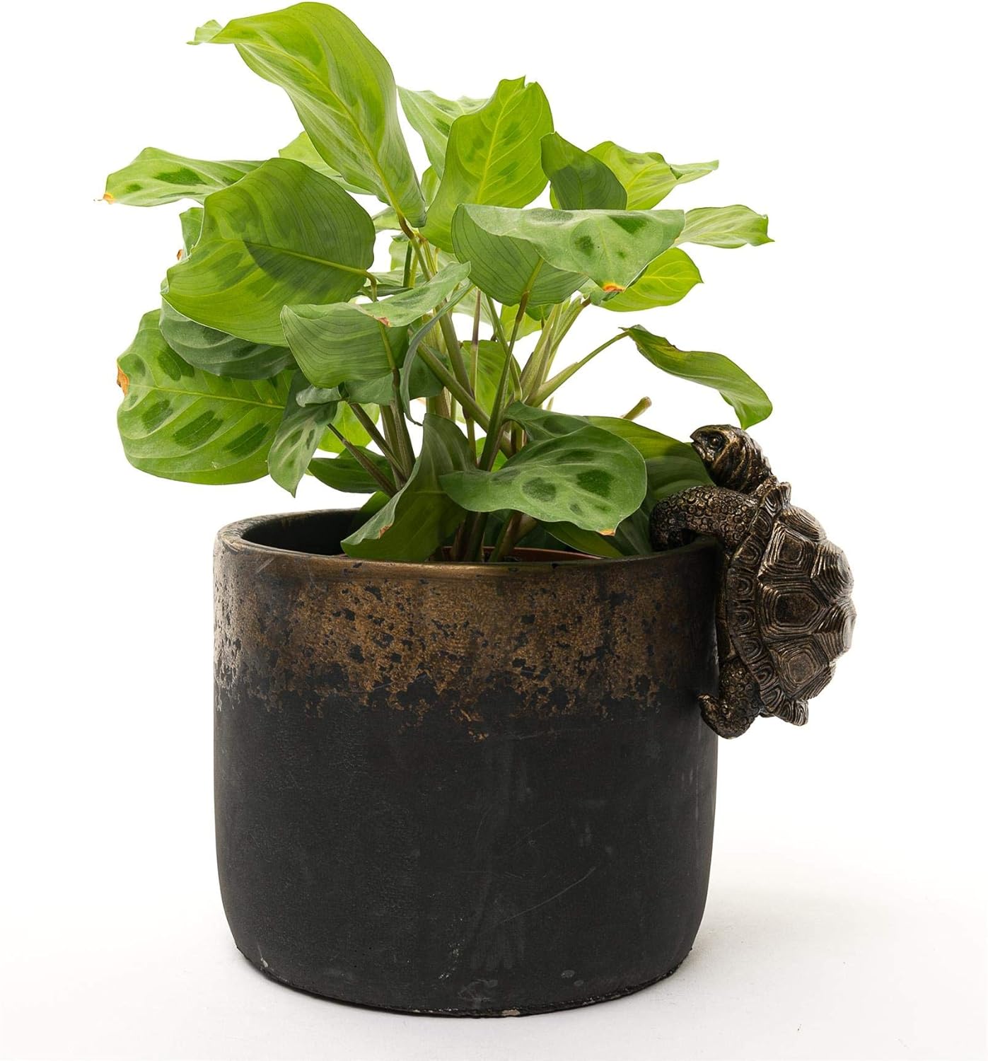 Figura de tortuga hecha a mano para macetas, adorno decorativo para patio, figura de maceta de flores
