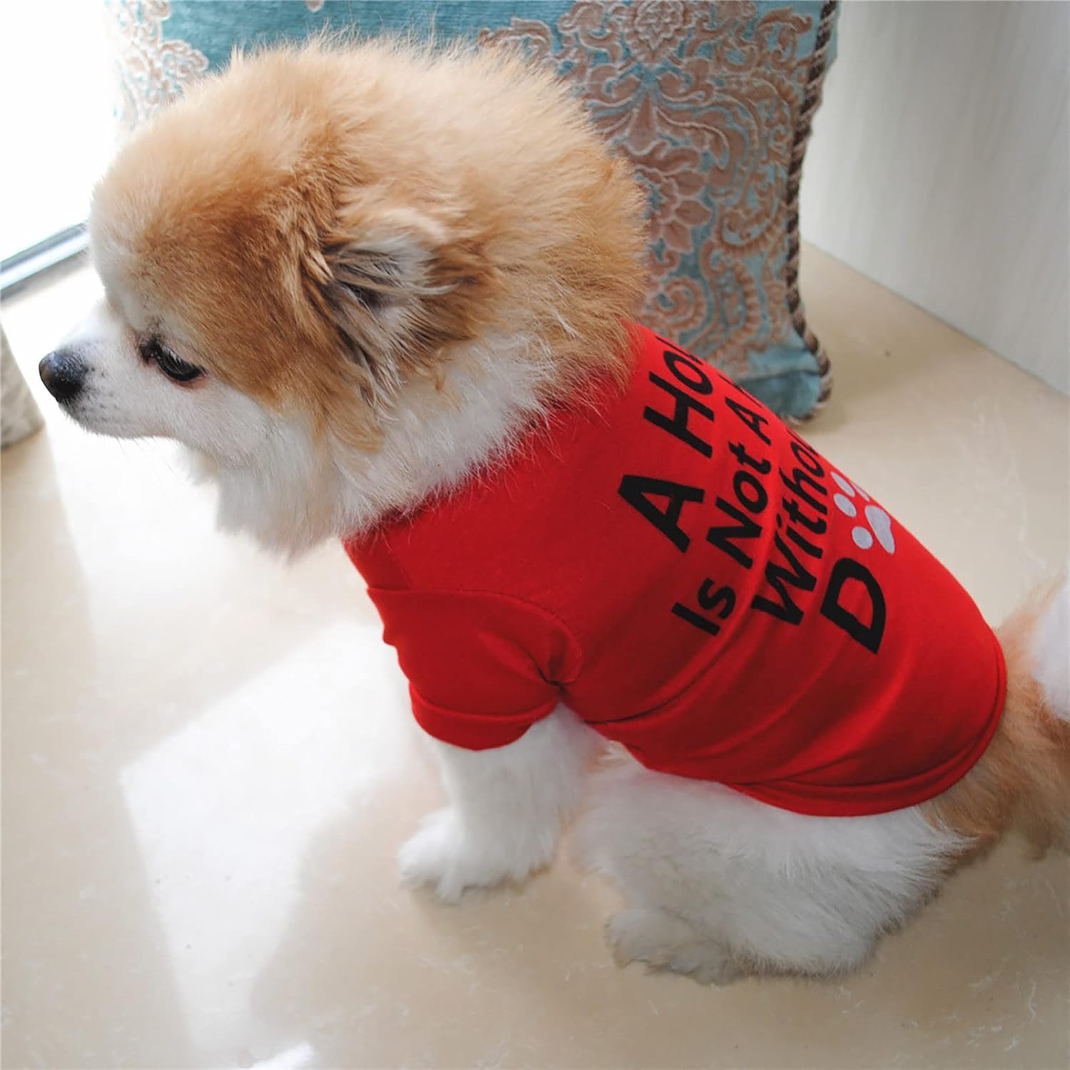 Camisa para perro con capucha, ropa de algodón, disfraz de cachorro para perros pequeños, camisas de perro para perros pequeños, ropa de taza de té,