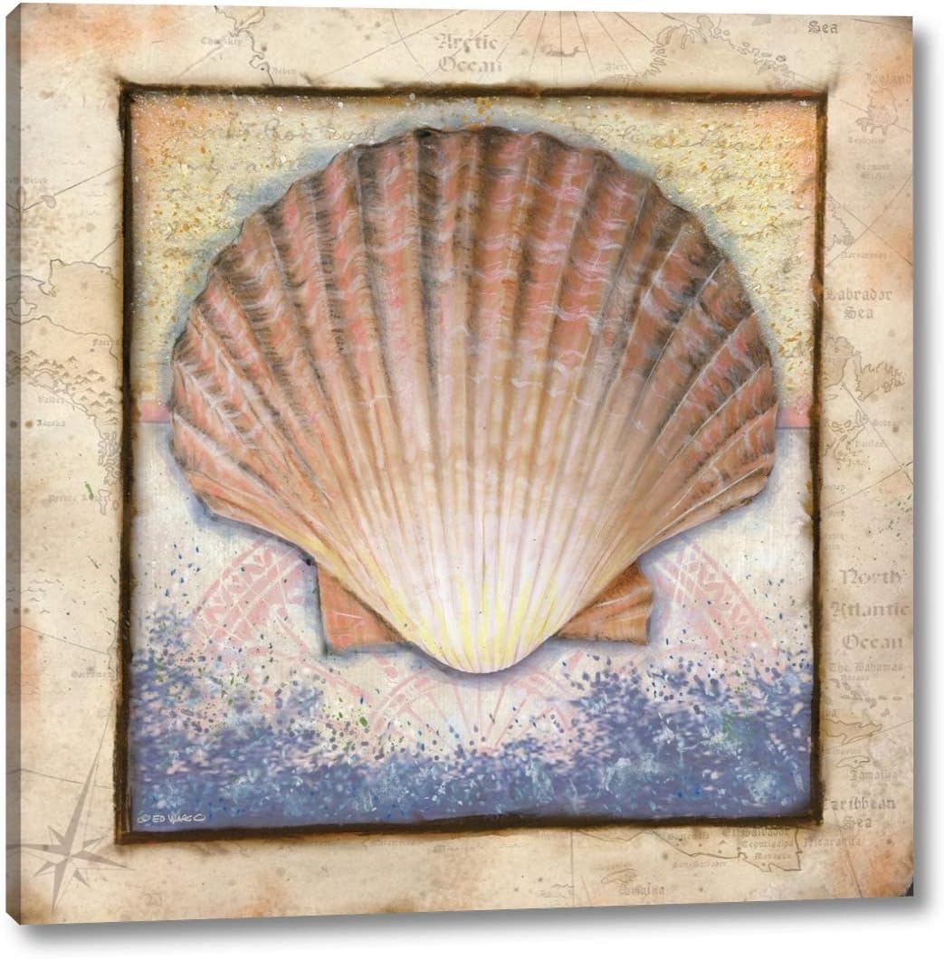 Shell by Ed Wargo – 16″ x 16″ Canvas Art Print Gallery Wrapped – Ready to Hang