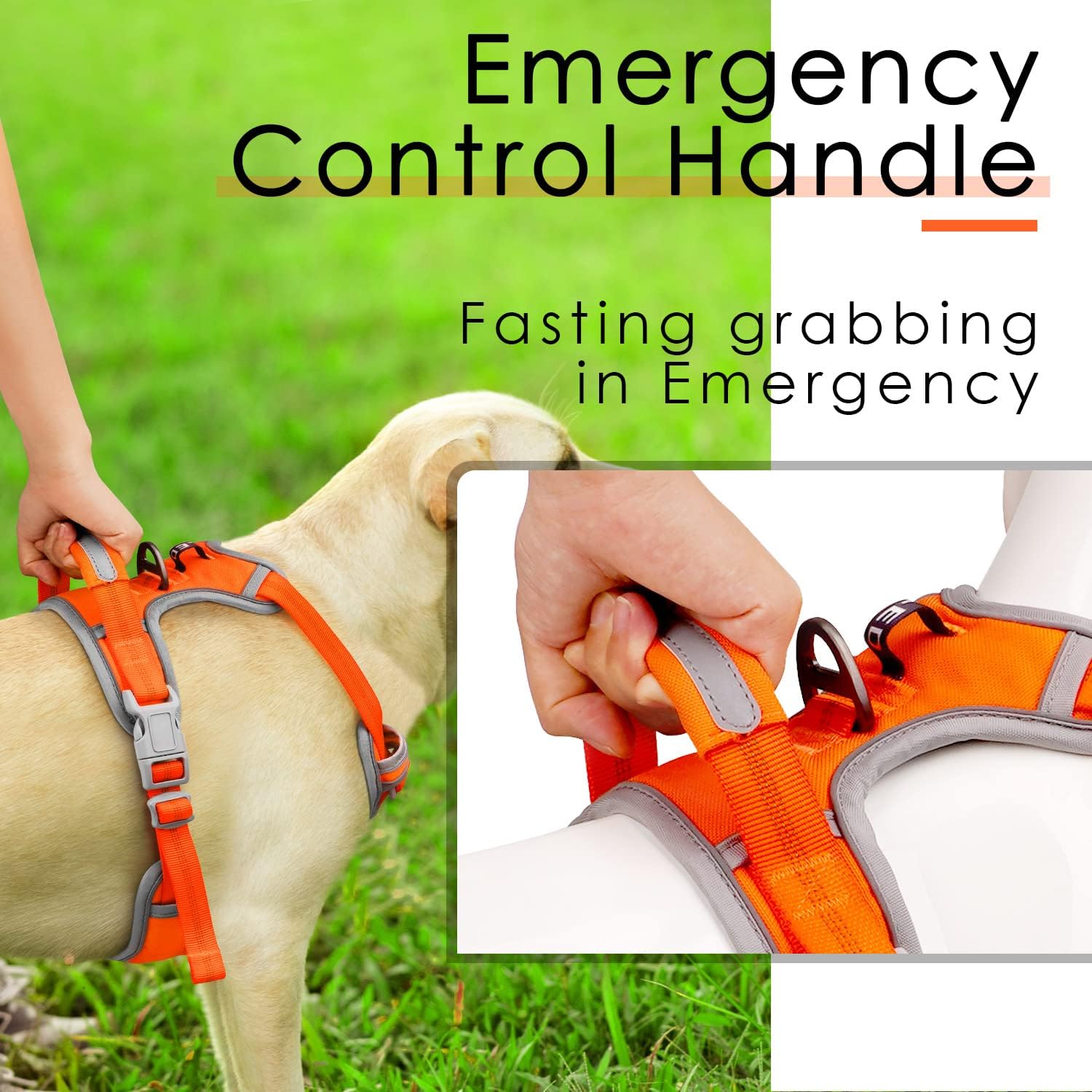 ThinkPet Arnés deportivo transpirable sin tirones con asa, chaleco de seguridad acolchado reflectante para perro con correa reflectante de neón para