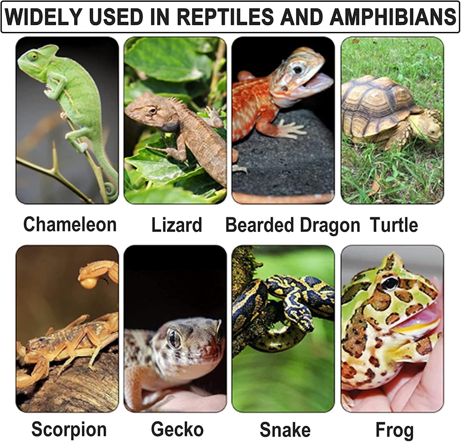 2 alfombras de reptil de 23.6 x 15.7 pulgadas, terrario, revestimiento de sustrato para lagartos, tortugas, serpientes, dragón barbudo, suministros