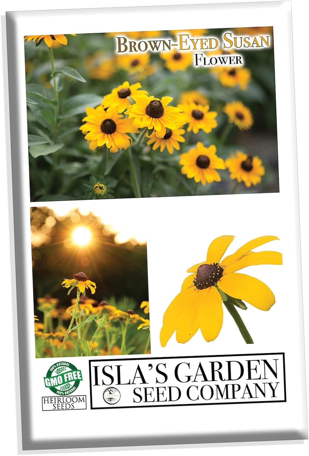 Semillas de flores Susan de ojos marrones para plantar, más de 3000 semillas por paquete, semillas de jardín de Isla (semillas de jardín de Isla),