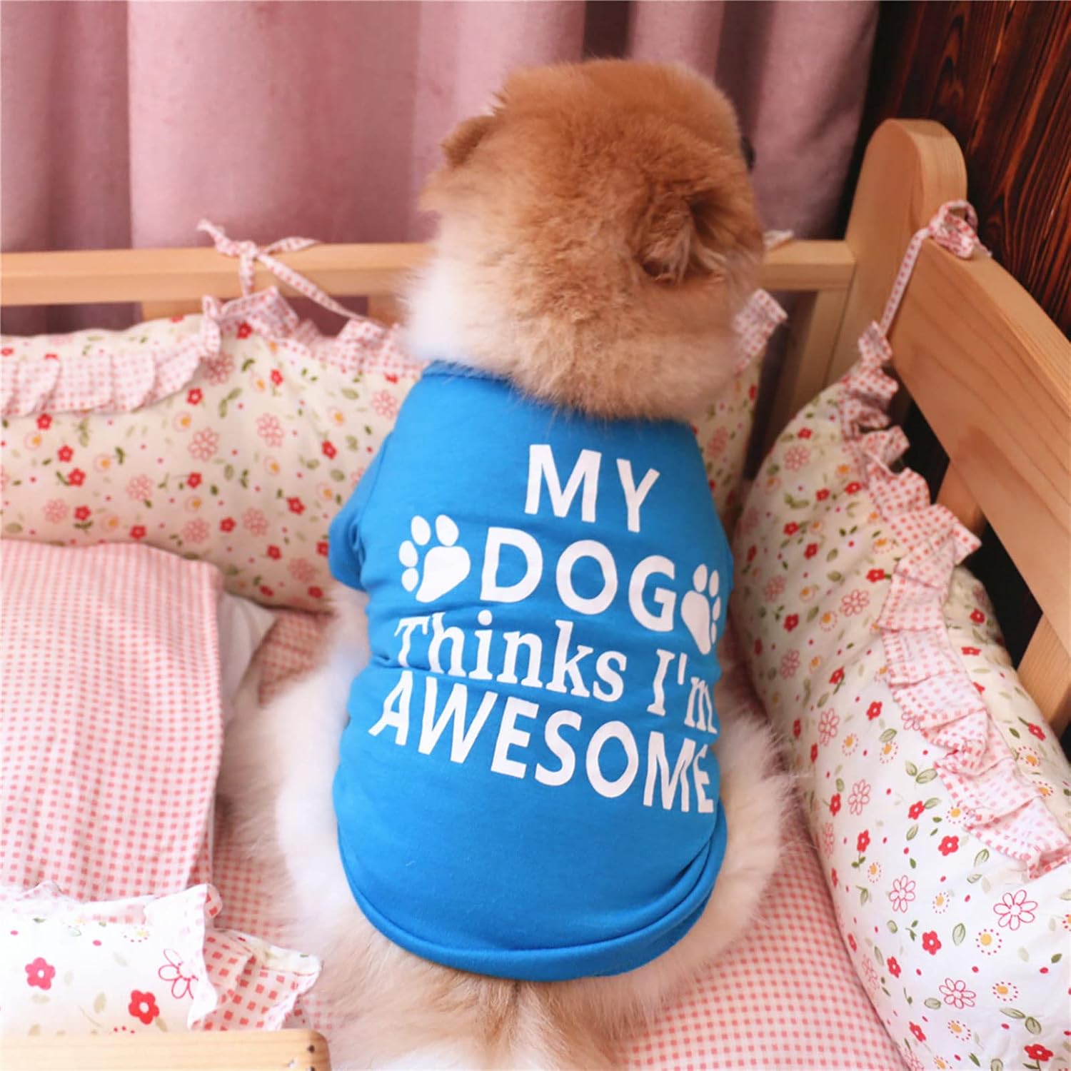 Camisa para perro con capucha, ropa de algodón, disfraz de cachorro para perros pequeños, camisas de perro para perros pequeños, ropa de taza de té,
