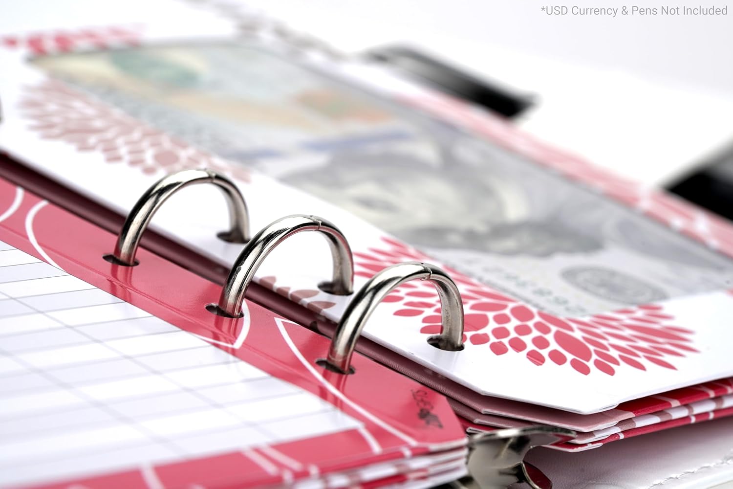 ZipGifts Kit de carpeta presupuestaria 8 sobres de cartulina premium con ventana transparente y sello de velcro, libro mayor trasero, 51