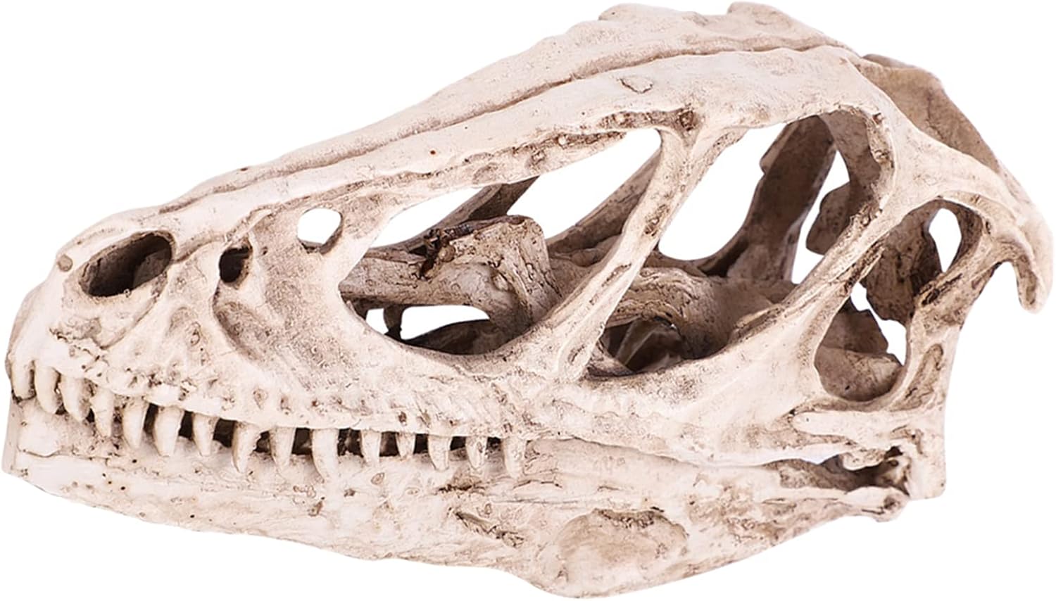 TOPINCN Modelo de calavera de dinosaurio, esqueleto de animal simulado, realista y vívido, perfecto para decoración de oficina en casa, accesorio de
