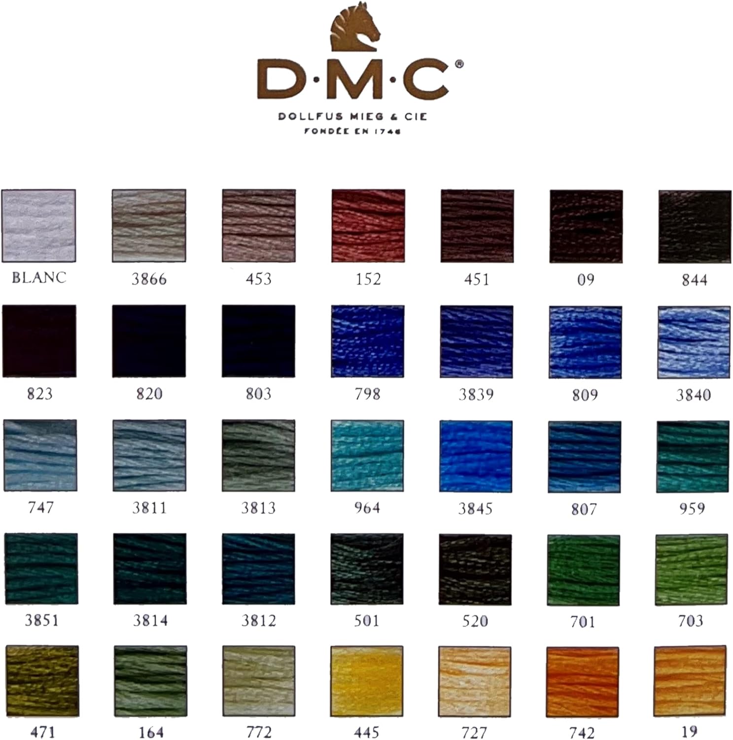 Hilo de bordado DMC, colección escénica de estaño, 35 colores, paquete surtido de hilos de bordado de algodón DMC con agujas de mano tamaño 5.
