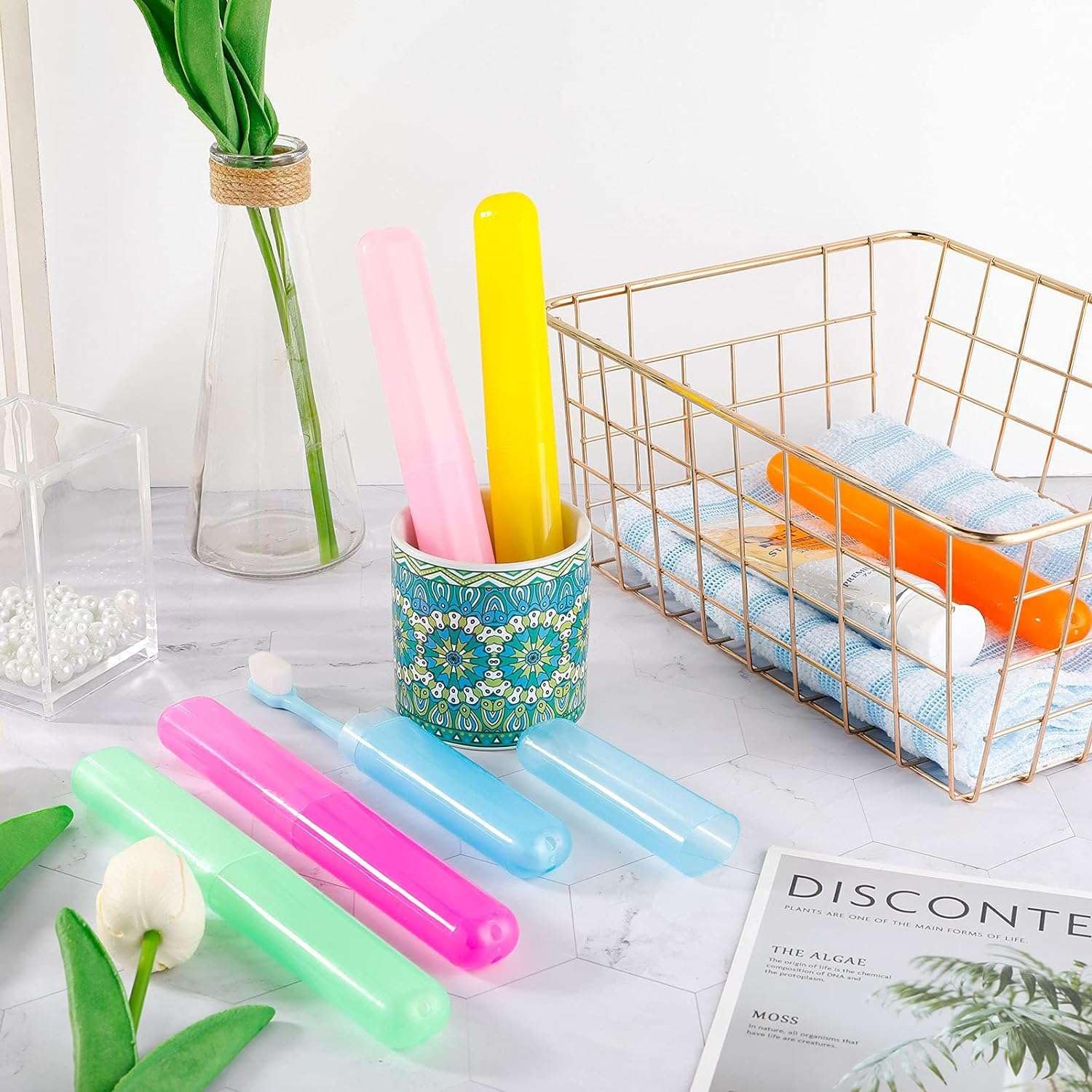 7 piezas fundas para cepillos de dientes de viaje portátil cubierta de cepillo de dientes de plástico titulares de cepillo de dientes protector de