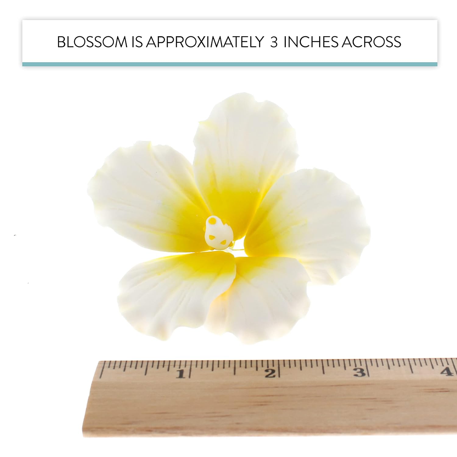 Global Sugar Art Flores de pastel de azúcar de hibisco, blanco con amarillo, grande, 9 unidades por el chef Alan Tetreault