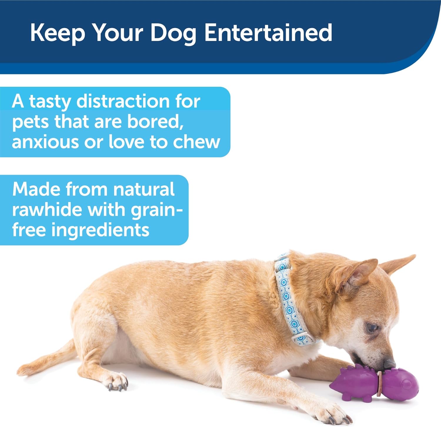 PetSafe Busy Buddy Animal Treat Ring Dog Toy – Juguete masticable para perros – Dinosaurio mediano
