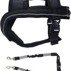 FrontPet Arnés para tirar y correa para tirar, chaleco acolchado ajustable para perros para trineo, correr, trotar y hacer ejercicio, tiras FrontPet Arnés para tirar y correa para tirar, chaleco acolchado ajustable para perros para trineo, correr, trotar y hacer ejercicio, tiras
